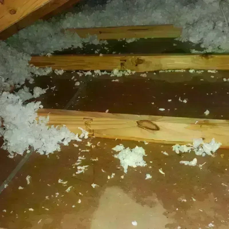 Attic Water Damage in Toledo, IA