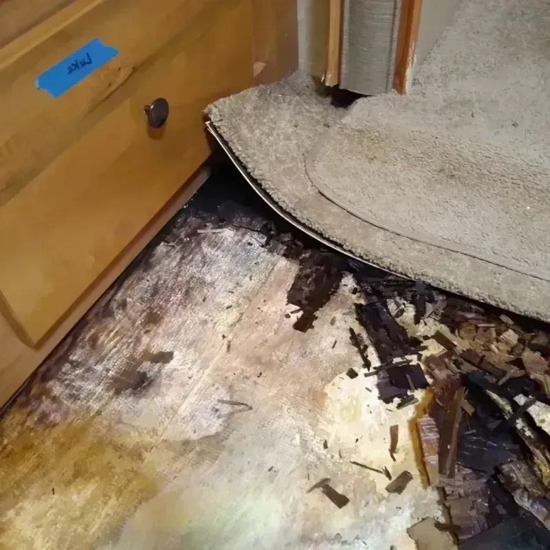 Wood Floor Water Damage in Toledo, IA